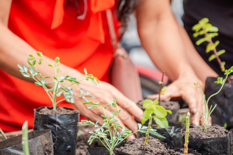  <div class='credito_fotos'>Foto: Karla Reis &nbsp;&nbsp;|&nbsp;&nbsp; <a href='/midias/2025/originais/9150_bab9eca1-6607-368f-b0b9-135288076df4.jpg' download><i class='fa-solid fa-download'></i> Download</a></div>