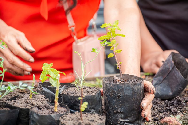  <div class='credito_fotos'>Foto: Karla Reis &nbsp;&nbsp;|&nbsp;&nbsp; <a href='/midias/2025/originais/9150_cd599931-8fa2-63dd-1a8c-4c061f99bbb1.jpg' download><i class='fa-solid fa-download'></i> Download</a></div>