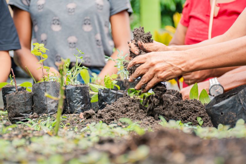  <div class='credito_fotos'>Foto: Karla Reis &nbsp;&nbsp;|&nbsp;&nbsp; <a href='/midias/2025/originais/9150_db36465e-2d9b-898b-042d-d6e3cd1649f1.jpg' download><i class='fa-solid fa-download'></i> Download</a></div>