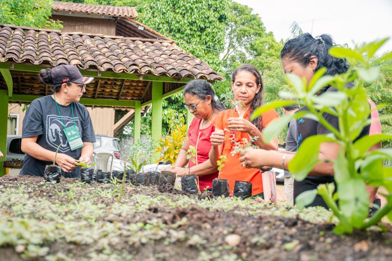  <div class='credito_fotos'>Foto: Karla Reis &nbsp;&nbsp;|&nbsp;&nbsp; <a href='/midias/2025/originais/9150_db858b36-a6b6-194f-30a8-dece24b10659.jpg' download><i class='fa-solid fa-download'></i> Download</a></div>