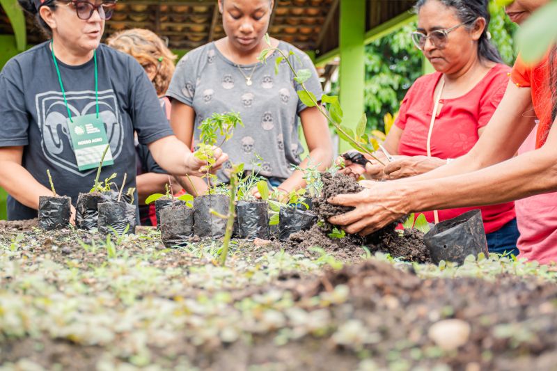  <div class='credito_fotos'>Foto: Karla Reis &nbsp;&nbsp;|&nbsp;&nbsp; <a href='/midias/2025/originais/9150_de292af9-e9de-5ef0-03ae-bb4627b24a4c.jpg' download><i class='fa-solid fa-download'></i> Download</a></div>