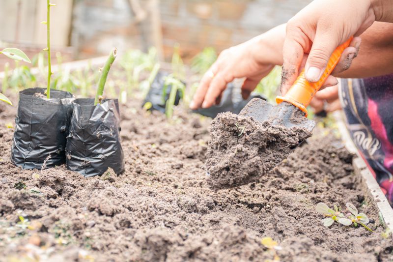  <div class='credito_fotos'>Foto: Karla Reis &nbsp;&nbsp;|&nbsp;&nbsp; <a href='/midias/2025/originais/9150_f6942493-47f5-5852-6519-913c16f5e6d6.jpg' download><i class='fa-solid fa-download'></i> Download</a></div>