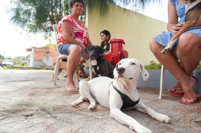  <div class='credito_fotos'>Foto: João Pedro Rodrigues &nbsp;&nbsp;|&nbsp;&nbsp; <a href='/midias/2025/originais/9162_66b7bfa3-8fea-c538-177b-c1dda84f139d.jpg' download><i class='fa-solid fa-download'></i> Download</a></div>