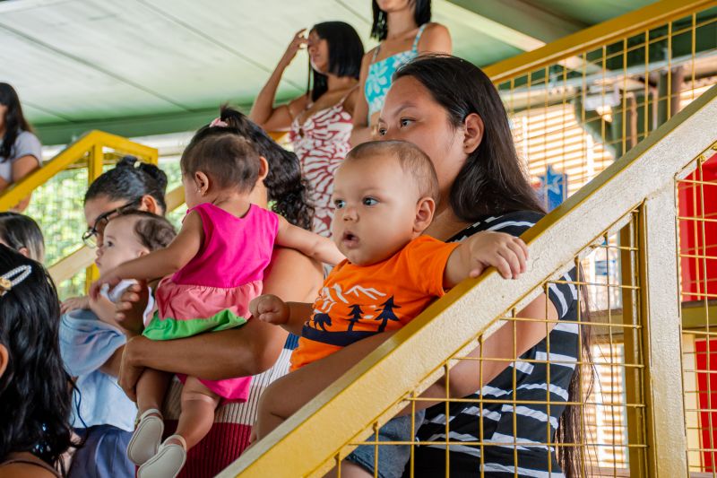  <div class='credito_fotos'>Foto: Karla Reis &nbsp;&nbsp;|&nbsp;&nbsp; <a href='/midias/2025/originais/9167_698617d9-e07b-92df-d82b-2664ae153535.jpg' download><i class='fa-solid fa-download'></i> Download</a></div>