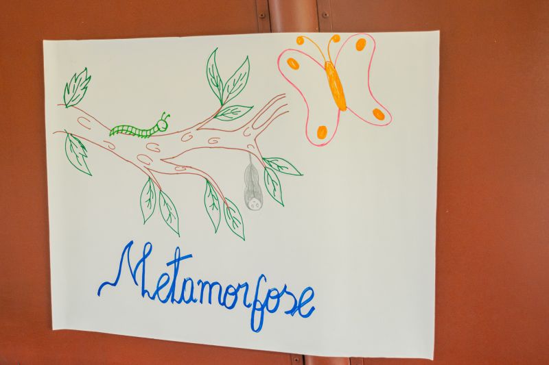  <div class='credito_fotos'>Foto: Karla Reis &nbsp;&nbsp;|&nbsp;&nbsp; <a href='/midias/2025/originais/9185_13337493-ecae-d96e-c33a-52680de38a91.jpg' download><i class='fa-solid fa-download'></i> Download</a></div>