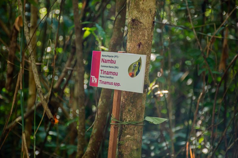  <div class='credito_fotos'>Foto: Karla Reis &nbsp;&nbsp;|&nbsp;&nbsp; <a href='/midias/2025/originais/9188_bf4517a3-421d-da57-36b3-3c3250ae566c.jpg' download><i class='fa-solid fa-download'></i> Download</a></div>