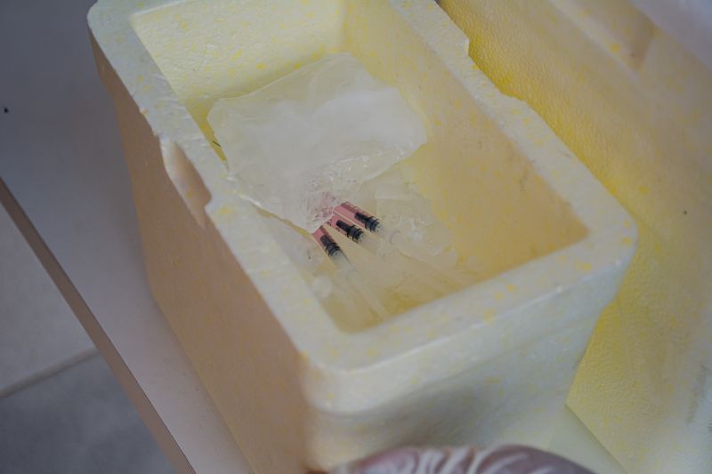  <div class='credito_fotos'>Foto: Karla Reis &nbsp;&nbsp;|&nbsp;&nbsp; <a href='/midias/2025/originais/9189_5281705e-8350-2df2-f8ea-0f0551393330.jpg' download><i class='fa-solid fa-download'></i> Download</a></div>