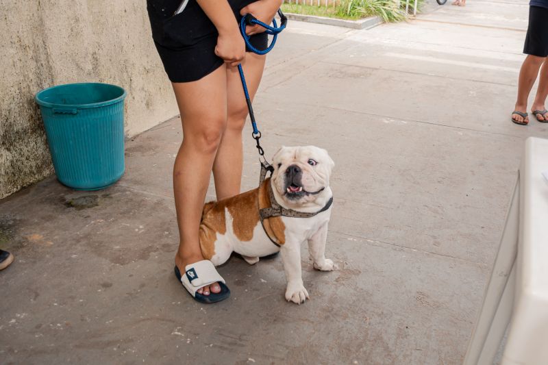  <div class='credito_fotos'>Foto: Karla Reis &nbsp;&nbsp;|&nbsp;&nbsp; <a href='/midias/2025/originais/9189_657751da-4bc9-abb0-831f-28e1a62b9a76.jpg' download><i class='fa-solid fa-download'></i> Download</a></div>