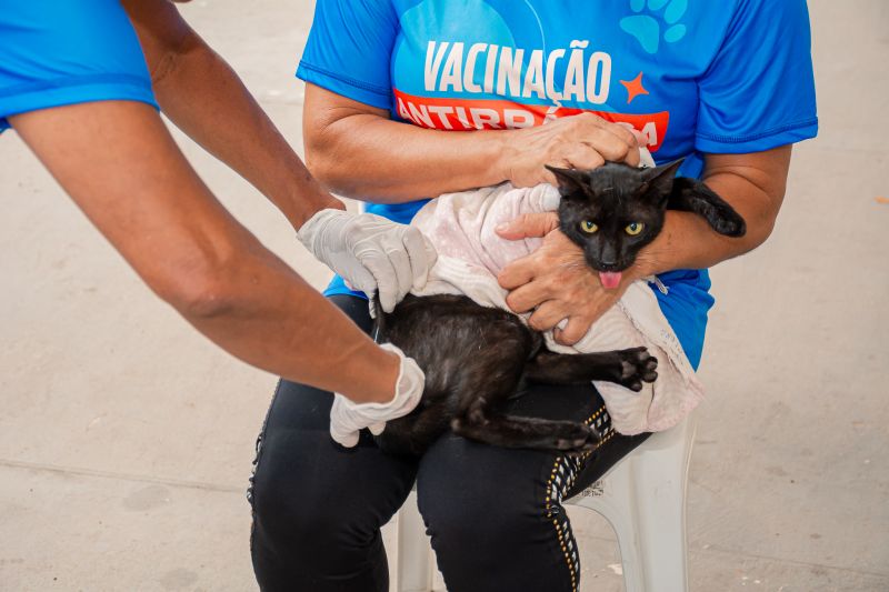  <div class='credito_fotos'>Foto: Karla Reis &nbsp;&nbsp;|&nbsp;&nbsp; <a href='/midias/2025/originais/9189_6ba91947-72a7-582f-8f10-65b81796227c.jpg' download><i class='fa-solid fa-download'></i> Download</a></div>