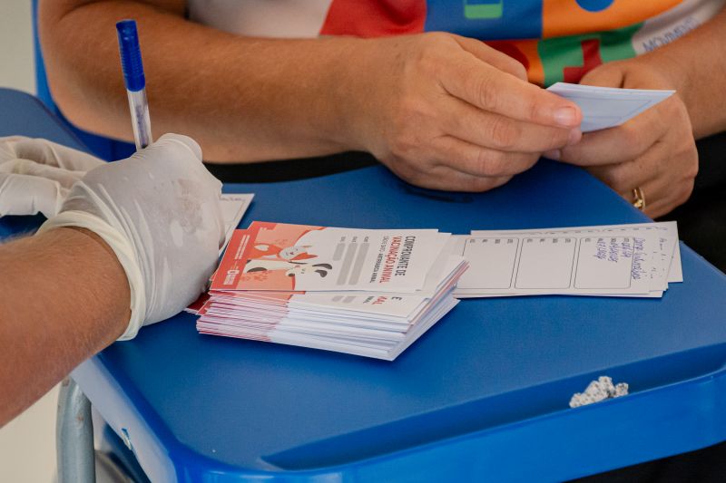  <div class='credito_fotos'>Foto: Karla Reis &nbsp;&nbsp;|&nbsp;&nbsp; <a href='/midias/2025/originais/9189_86461fcf-79bb-26af-9247-7964a218ec35.jpg' download><i class='fa-solid fa-download'></i> Download</a></div>