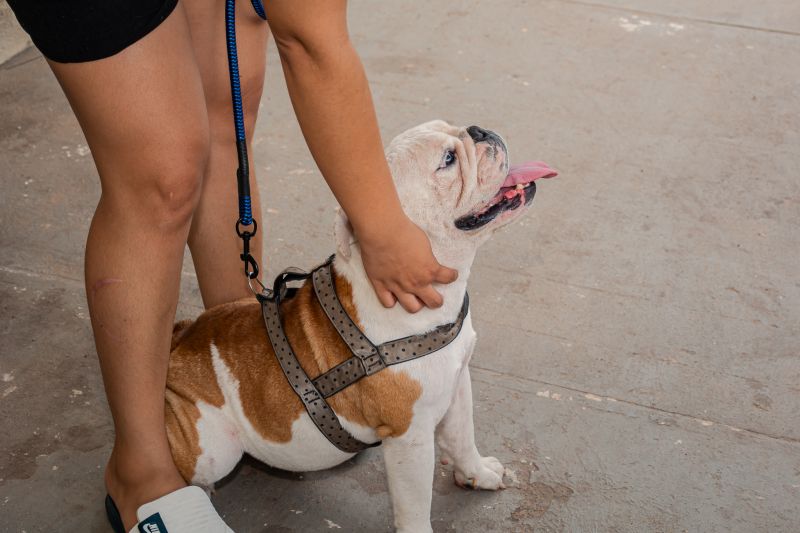  <div class='credito_fotos'>Foto: Karla Reis &nbsp;&nbsp;|&nbsp;&nbsp; <a href='/midias/2025/originais/9189_8f38ea38-f915-a1de-00a4-dd3718435066.jpg' download><i class='fa-solid fa-download'></i> Download</a></div>