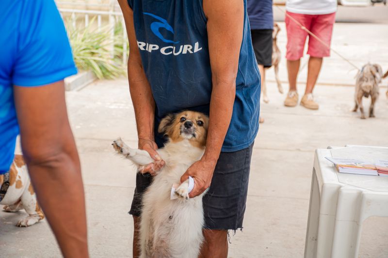  <div class='credito_fotos'>Foto: Karla Reis &nbsp;&nbsp;|&nbsp;&nbsp; <a href='/midias/2025/originais/9189_cd451386-11ee-7c9b-b9ed-58e7bfd029d8.jpg' download><i class='fa-solid fa-download'></i> Download</a></div>