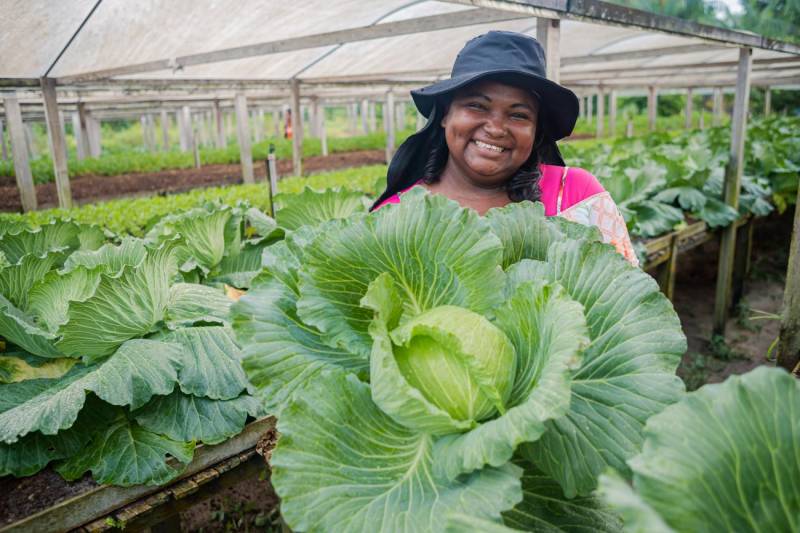 Crédito: Divulgação