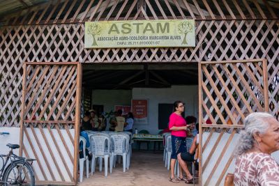 galeria: ENTREGA DE MUDAS DE CACAU AOS PRODUTORES DA COMUNIDADE MARGARIDA ALVES