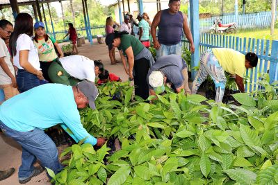 galeria: Oficina de Mandiocultura SEMAT