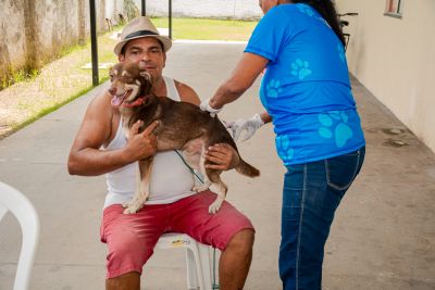notícia: Benevides bate recorde histórico no 'Dia D' e protege mais de 9 mil cães e gatos contra a Raiva