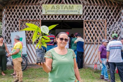 notícia: Agricultores recebem incentivo para cultivar cacau