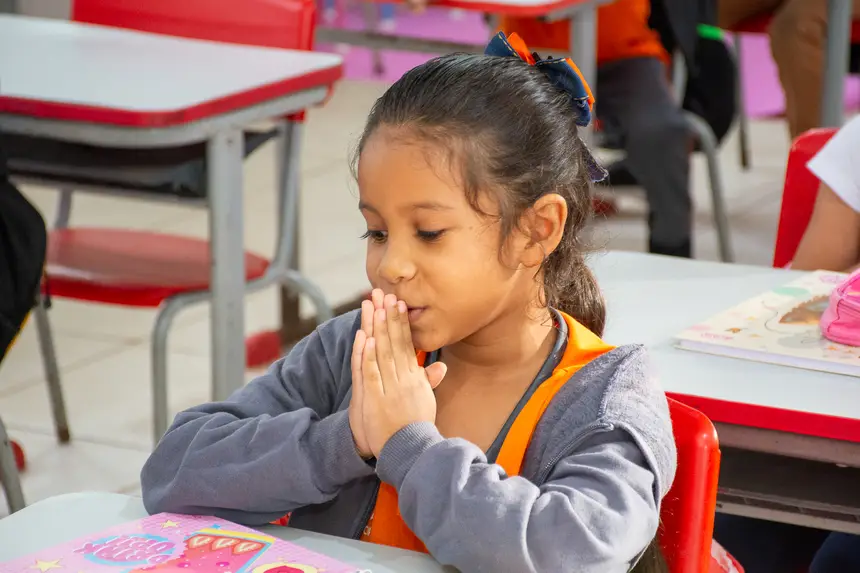  <div class='credito_fotos'>Foto: Karla Reis &nbsp;&nbsp;|&nbsp;&nbsp; <a href='/midias/2026/originais/20260126174234-GF00009274-F00109520.webp' download><i class='fa-solid fa-download'></i> Download</a></div>