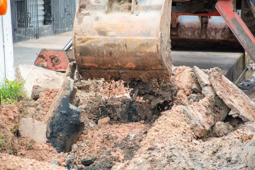  <div class='credito_fotos'>Foto: Karla Reis &nbsp;&nbsp;|&nbsp;&nbsp; <a href='/midias/2026/originais/20260226120456-GF00009321-F00111861.webp' download><i class='fa-solid fa-download'></i> Download</a></div>