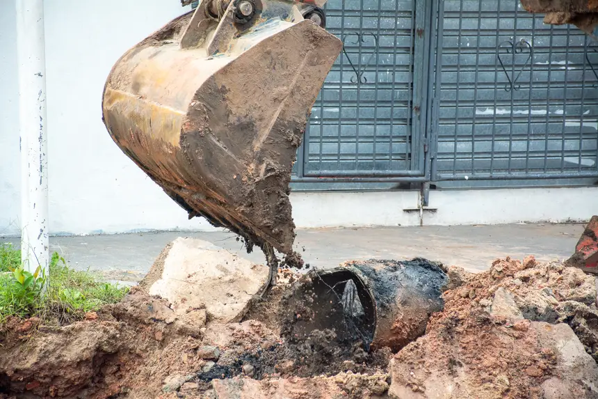  <div class='credito_fotos'>Foto: Karla Reis &nbsp;&nbsp;|&nbsp;&nbsp; <a href='/midias/2026/originais/20260226120459-GF00009321-F00111863.webp' download><i class='fa-solid fa-download'></i> Download</a></div>