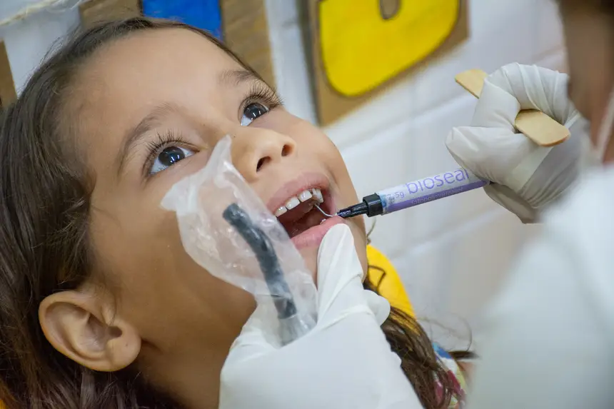  <div class='credito_fotos'>Foto: Karla Reis &nbsp;&nbsp;|&nbsp;&nbsp; <a href='/midias/2026/originais/20260228163610-GF00009325-F00112142.webp' download><i class='fa-solid fa-download'></i> Download</a></div>