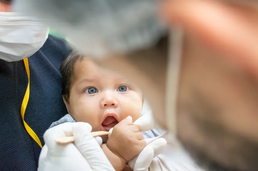  <div class='credito_fotos'>Foto: Karla Reis &nbsp;&nbsp;|&nbsp;&nbsp; <a href='/midias/2026/originais/20260228163618-GF00009325-F00112149.webp' download><i class='fa-solid fa-download'></i> Download</a></div>