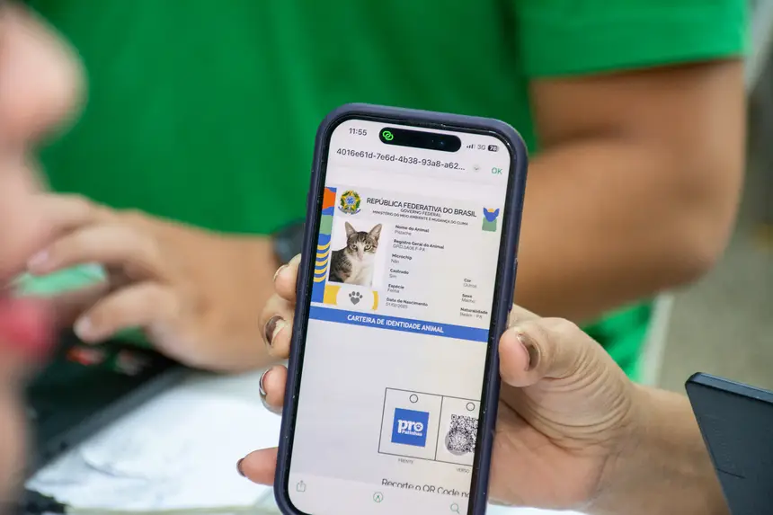  <div class='credito_fotos'>Foto: Karla Reis &nbsp;&nbsp;|&nbsp;&nbsp; <a href='/midias/2026/originais/20260228163733-GF00009325-F00112208.webp' download><i class='fa-solid fa-download'></i> Download</a></div>