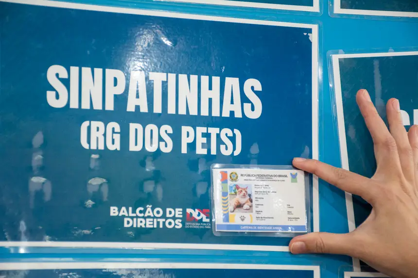  <div class='credito_fotos'>Foto: Karla Reis &nbsp;&nbsp;|&nbsp;&nbsp; <a href='/midias/2026/originais/20260228163736-GF00009325-F00112211.webp' download><i class='fa-solid fa-download'></i> Download</a></div>