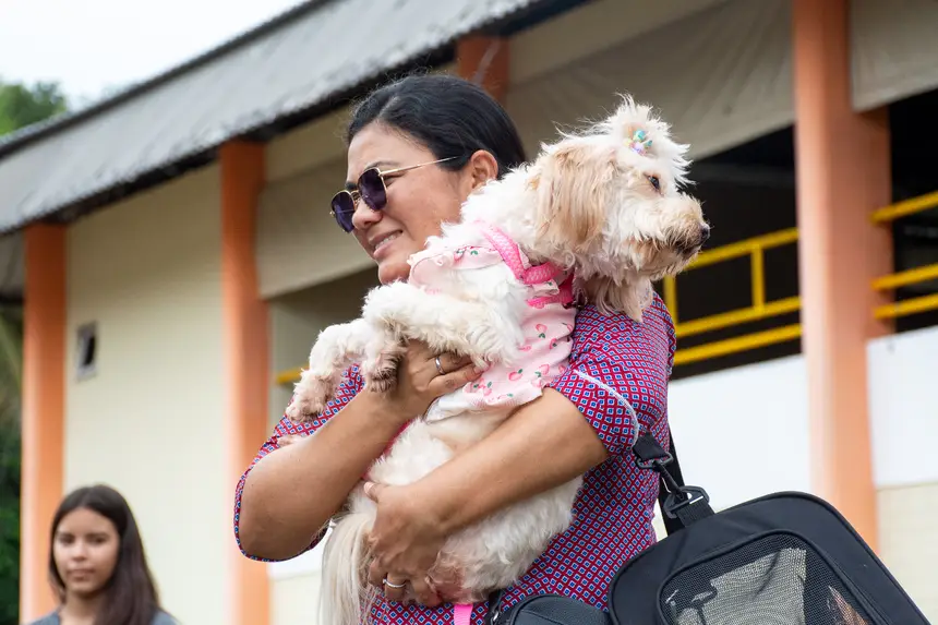  <div class='credito_fotos'>Foto: Karla Reis &nbsp;&nbsp;|&nbsp;&nbsp; <a href='/midias/2026/originais/20260303154828-GF00009327-F00112235.webp' download><i class='fa-solid fa-download'></i> Download</a></div>