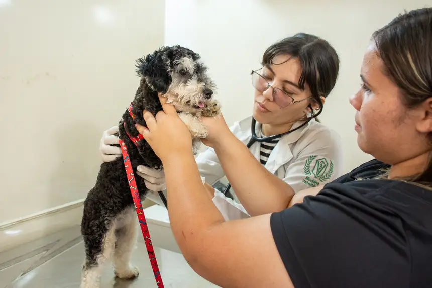  <div class='credito_fotos'>Foto: Karla Reis &nbsp;&nbsp;|&nbsp;&nbsp; <a href='/midias/2026/originais/20260303154901-GF00009327-F00112261.webp' download><i class='fa-solid fa-download'></i> Download</a></div>