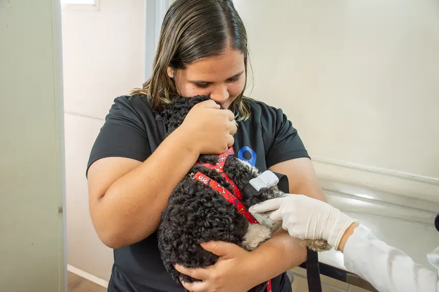  <div class='credito_fotos'>Foto: Karla Reis &nbsp;&nbsp;|&nbsp;&nbsp; <a href='/midias/2026/originais/20260303154903-GF00009327-F00112262.webp' download><i class='fa-solid fa-download'></i> Download</a></div>