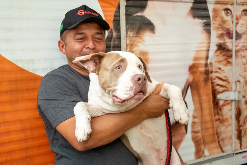  <div class='credito_fotos'>Foto: Karla Reis &nbsp;&nbsp;|&nbsp;&nbsp; <a href='/midias/2026/originais/20260303154920-GF00009327-F00112275.webp' download><i class='fa-solid fa-download'></i> Download</a></div>