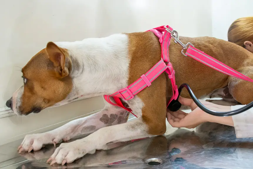  <div class='credito_fotos'>Foto: Karla Reis &nbsp;&nbsp;|&nbsp;&nbsp; <a href='/midias/2026/originais/20260303154924-GF00009327-F00112278.webp' download><i class='fa-solid fa-download'></i> Download</a></div>