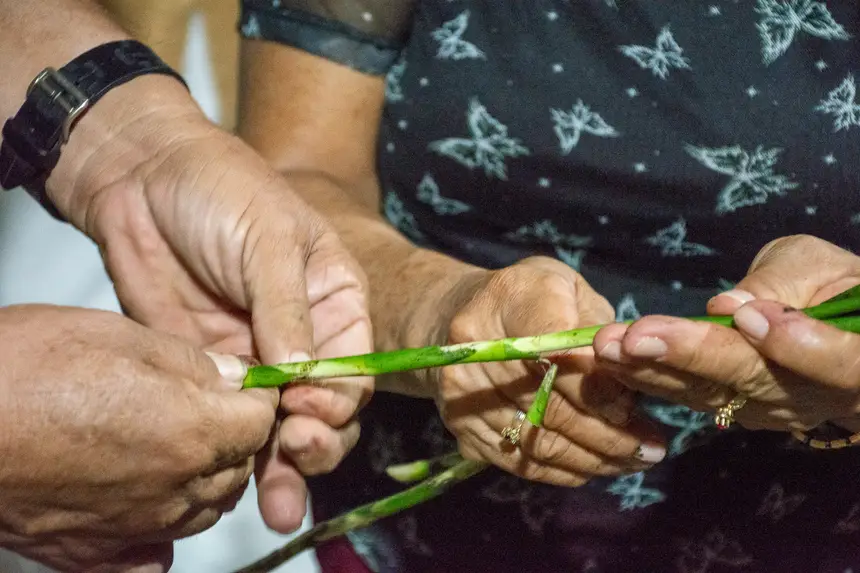  <div class='credito_fotos'>Foto: Karla Reis &nbsp;&nbsp;|&nbsp;&nbsp; <a href='/midias/2026/originais/20260314103525-GF00009342-F00112785.webp' download><i class='fa-solid fa-download'></i> Download</a></div>