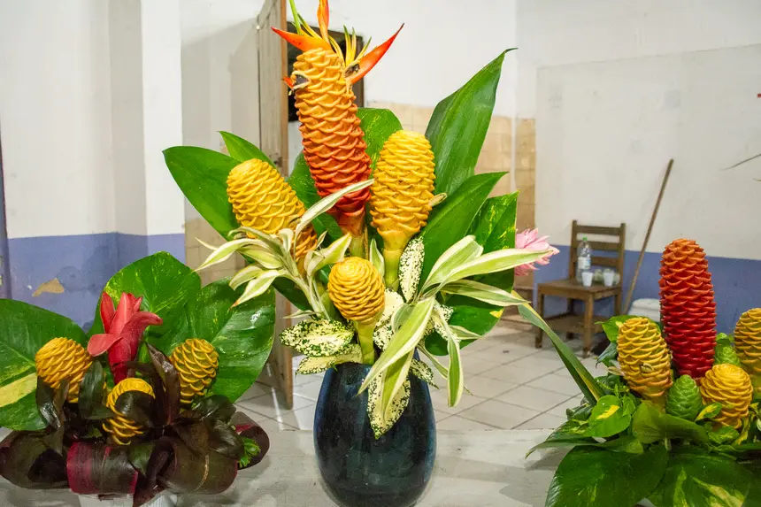  <div class='credito_fotos'>Foto: Karla Reis &nbsp;&nbsp;|&nbsp;&nbsp; <a href='/midias/2026/originais/20260314103605-GF00009342-F00112815.webp' download><i class='fa-solid fa-download'></i> Download</a></div>