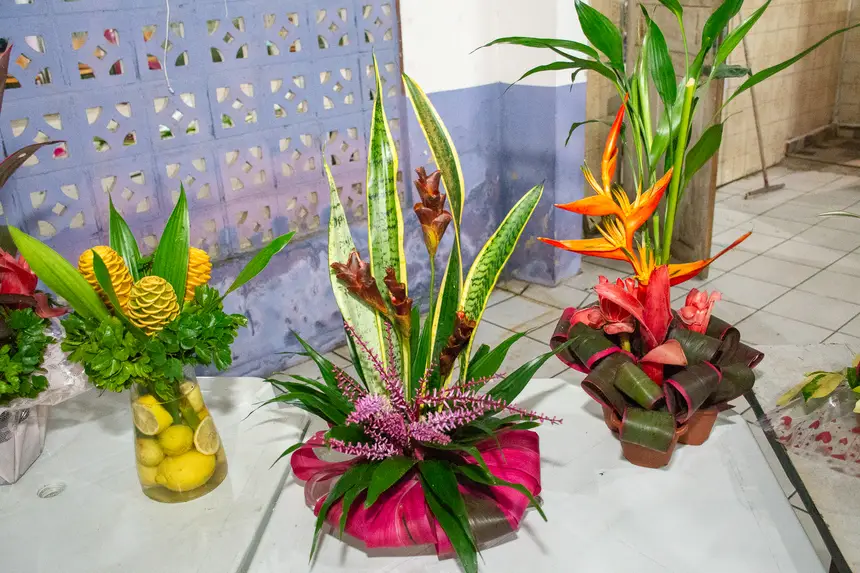  <div class='credito_fotos'>Foto: Karla Reis &nbsp;&nbsp;|&nbsp;&nbsp; <a href='/midias/2026/originais/20260314103607-GF00009342-F00112816.webp' download><i class='fa-solid fa-download'></i> Download</a></div>