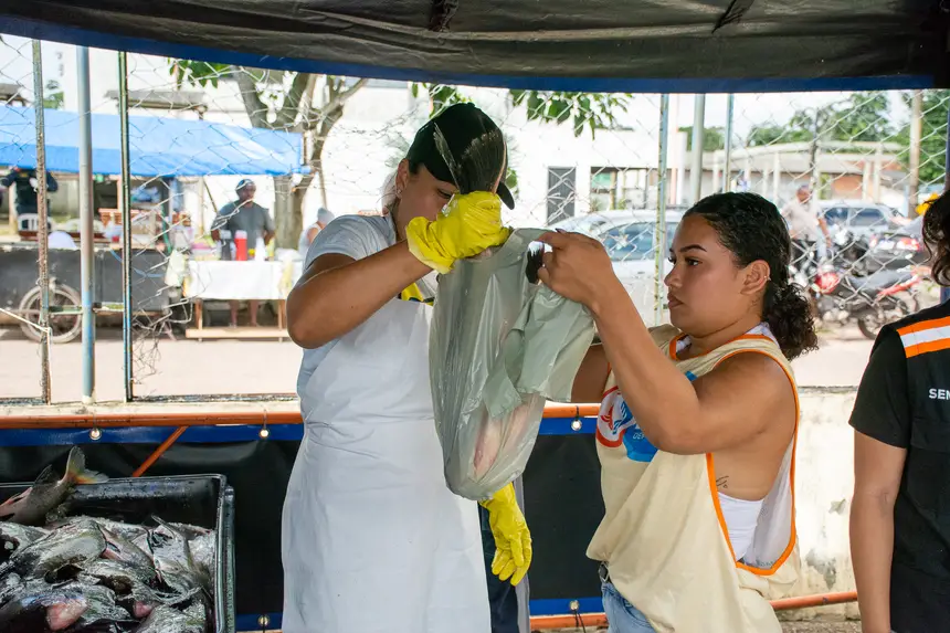  <div class='credito_fotos'>Foto: Karla Reis &nbsp;&nbsp;|&nbsp;&nbsp; <a href='/midias/2026/originais/20260330134808-GF00009361-F00113708.webp' download><i class='fa-solid fa-download'></i> Download</a></div>