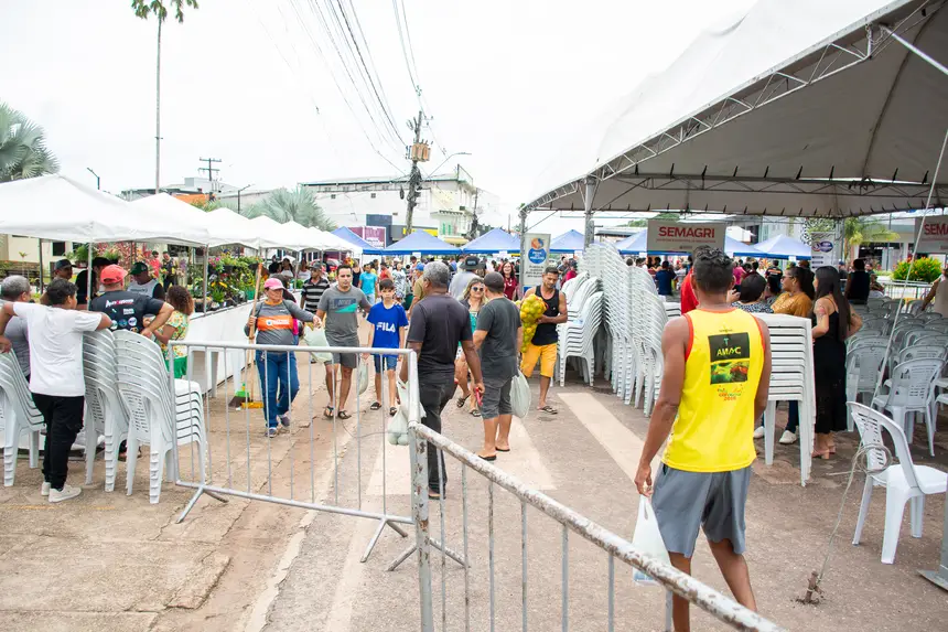  <div class='credito_fotos'>Foto: Karla Reis &nbsp;&nbsp;|&nbsp;&nbsp; <a href='/midias/2026/originais/20260402162059-GF00009368-F00114129.webp' download><i class='fa-solid fa-download'></i> Download</a></div>