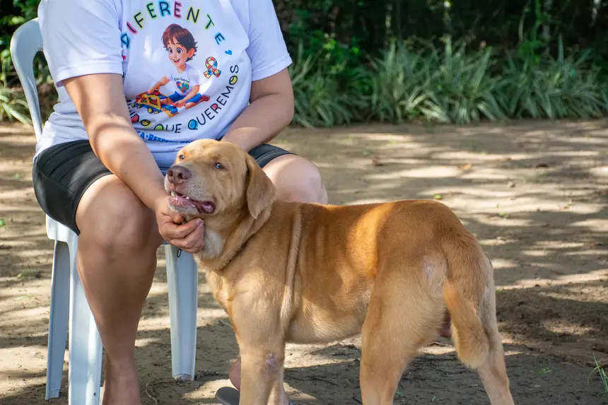  <div class='credito_fotos'>Foto: Karla Reis &nbsp;&nbsp;|&nbsp;&nbsp; <a href='/midias/2026/originais/20260409114256-GF00009369-F00114135.webp' download><i class='fa-solid fa-download'></i> Download</a></div>