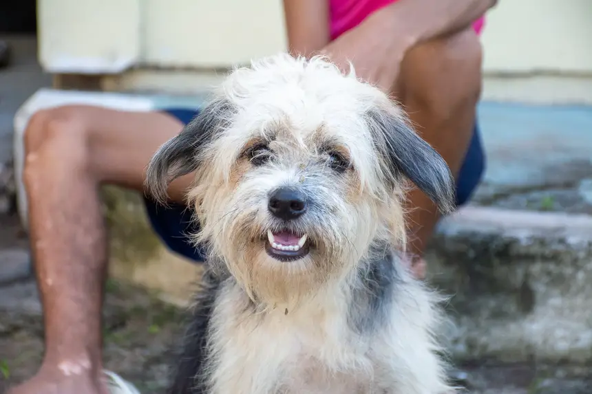  <div class='credito_fotos'>Foto: Karla Reis &nbsp;&nbsp;|&nbsp;&nbsp; <a href='/midias/2026/originais/20260409114304-GF00009369-F00114140.webp' download><i class='fa-solid fa-download'></i> Download</a></div>