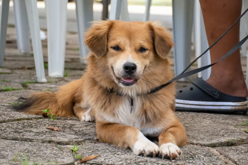  <div class='credito_fotos'>Foto: Karla Reis &nbsp;&nbsp;|&nbsp;&nbsp; <a href='/midias/2026/originais/20260409114312-GF00009369-F00114146.webp' download><i class='fa-solid fa-download'></i> Download</a></div>