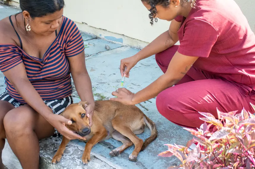  <div class='credito_fotos'>Foto: Karla Reis &nbsp;&nbsp;|&nbsp;&nbsp; <a href='/midias/2026/originais/20260409114319-GF00009369-F00114151.webp' download><i class='fa-solid fa-download'></i> Download</a></div>