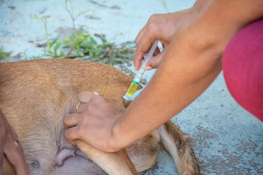  <div class='credito_fotos'>Foto: Karla Reis &nbsp;&nbsp;|&nbsp;&nbsp; <a href='/midias/2026/originais/20260409114320-GF00009369-F00114152.webp' download><i class='fa-solid fa-download'></i> Download</a></div>