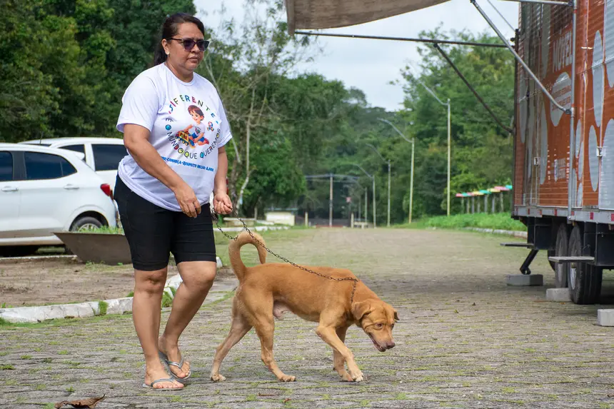  <div class='credito_fotos'>Foto: Karla Reis &nbsp;&nbsp;|&nbsp;&nbsp; <a href='/midias/2026/originais/20260409114328-GF00009369-F00114158.webp' download><i class='fa-solid fa-download'></i> Download</a></div>