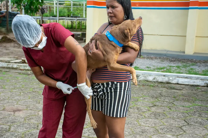  <div class='credito_fotos'>Foto: Karla Reis &nbsp;&nbsp;|&nbsp;&nbsp; <a href='/midias/2026/originais/20260409114334-GF00009369-F00114162.webp' download><i class='fa-solid fa-download'></i> Download</a></div>