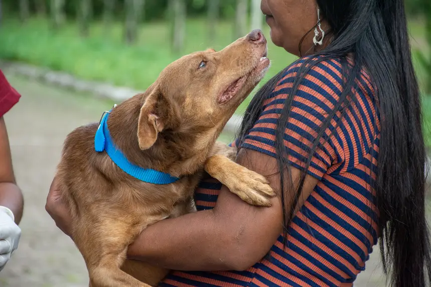  <div class='credito_fotos'>Foto: Karla Reis &nbsp;&nbsp;|&nbsp;&nbsp; <a href='/midias/2026/originais/20260409114335-GF00009369-F00114163.webp' download><i class='fa-solid fa-download'></i> Download</a></div>