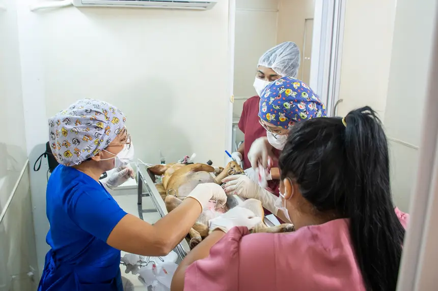  <div class='credito_fotos'>Foto: Karla Reis &nbsp;&nbsp;|&nbsp;&nbsp; <a href='/midias/2026/originais/20260409114339-GF00009369-F00114166.webp' download><i class='fa-solid fa-download'></i> Download</a></div>