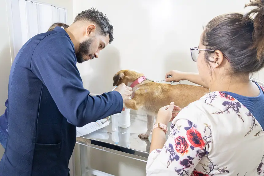  <div class='credito_fotos'>Foto: Karla Reis &nbsp;&nbsp;|&nbsp;&nbsp; <a href='/midias/2026/originais/20260825114652-GF00009517-F00121689.webp' download><i class='fa-solid fa-download'></i> Download</a></div>