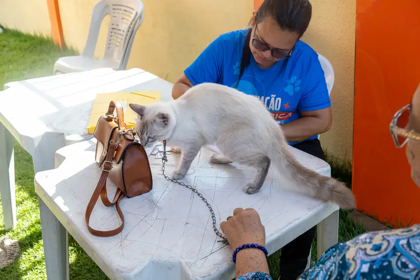  <div class='credito_fotos'>Foto: Karla Reis &nbsp;&nbsp;|&nbsp;&nbsp; <a href='/midias/2026/originais/20260826110852-GF00009518-F00121707.webp' download><i class='fa-solid fa-download'></i> Download</a></div>