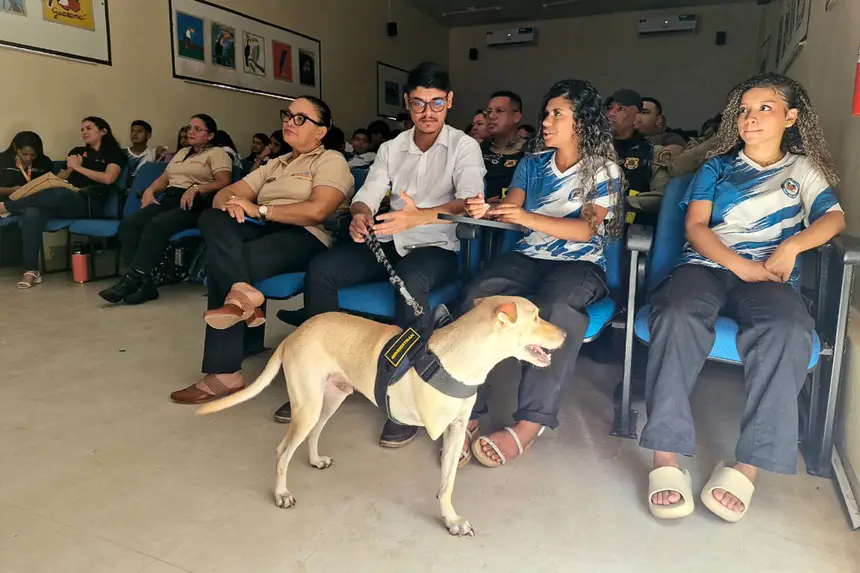  <div class='credito_fotos'>Foto:  &nbsp;&nbsp;|&nbsp;&nbsp; <a href='/midias/2026/originais/20260924133250-GF00009542-F00124145.webp' download><i class='fa-solid fa-download'></i> Download</a></div>